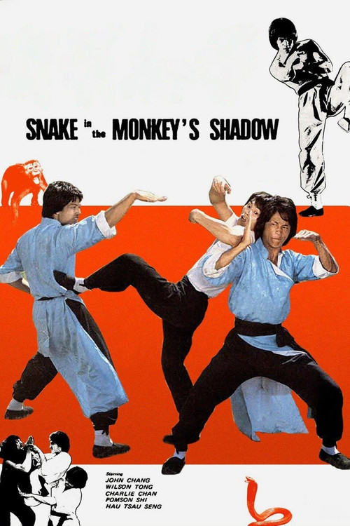 Snake in the Monkey's Shadow (1979) poster