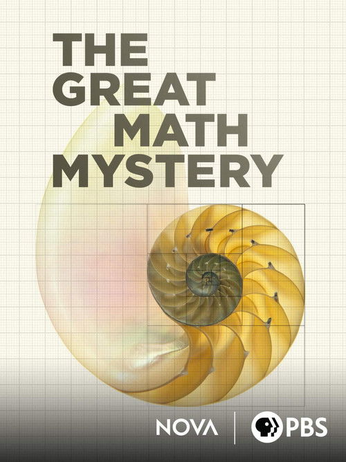 NOVA: The Great Math Mystery (2015) poster