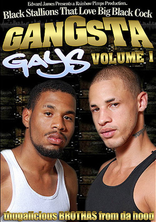 Gangsta Gays 1 (2010) poster