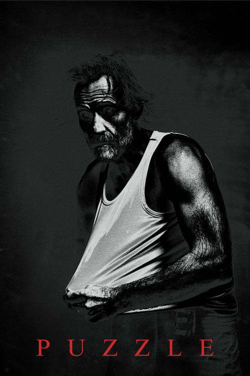 Puzzle (2024) poster