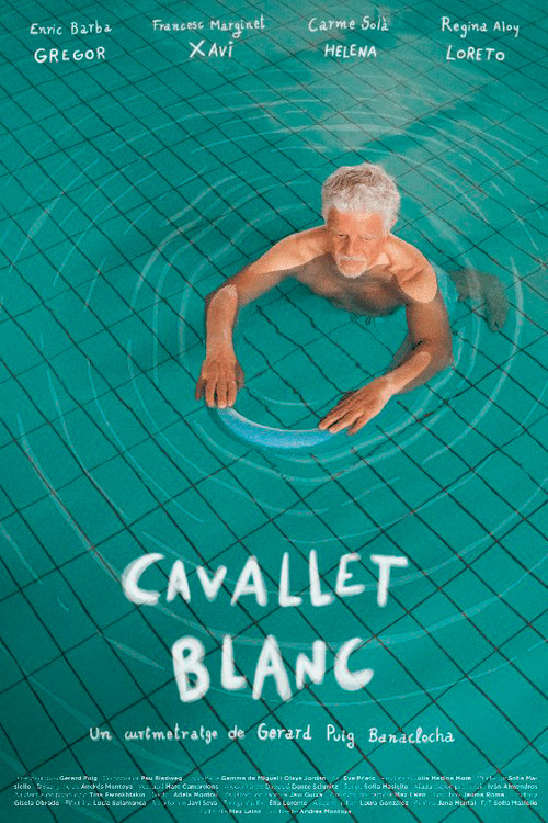 White Seahorse (2024) poster