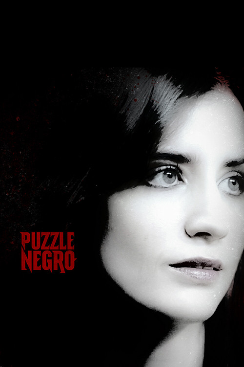 Puzzle Negro (2015) poster