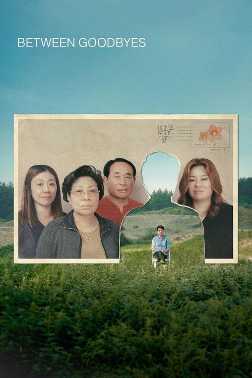 Between Goodbyes (2024) poster