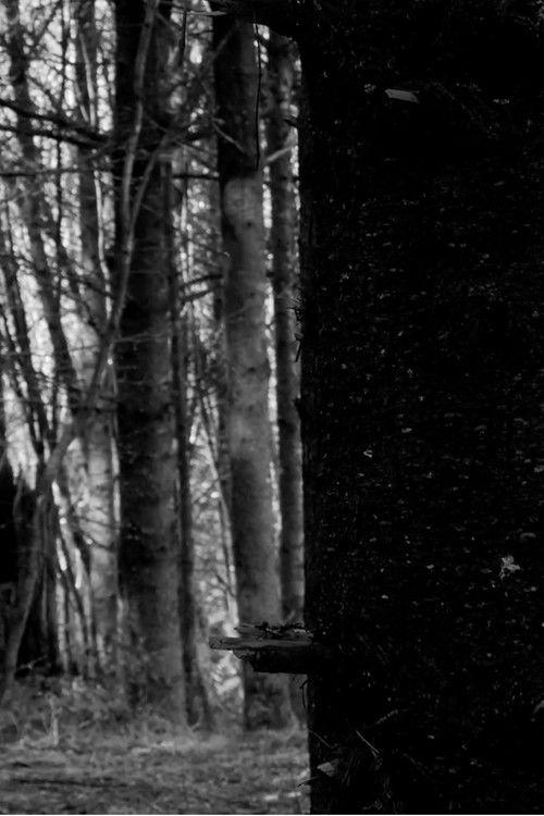 A New War Film (2025) poster