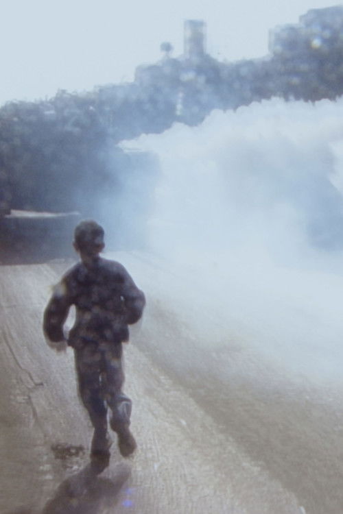 ذاكرة متقاطعة (2025) poster