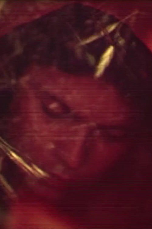 The Bengali Night (1980) poster