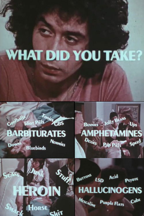 What Did You Take? (1971) poster