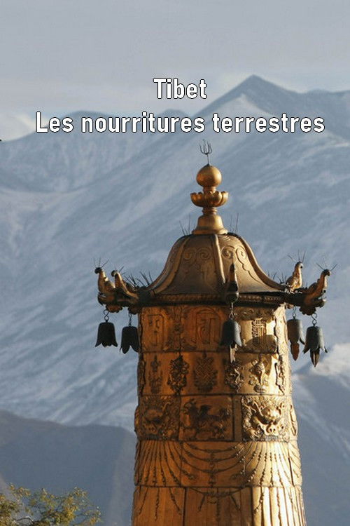 Tibet - Les nourritures terrestres (2011) poster
