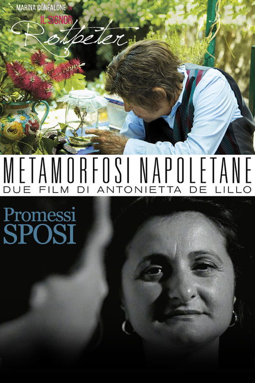Metamorfosi Napoletane (2017) poster