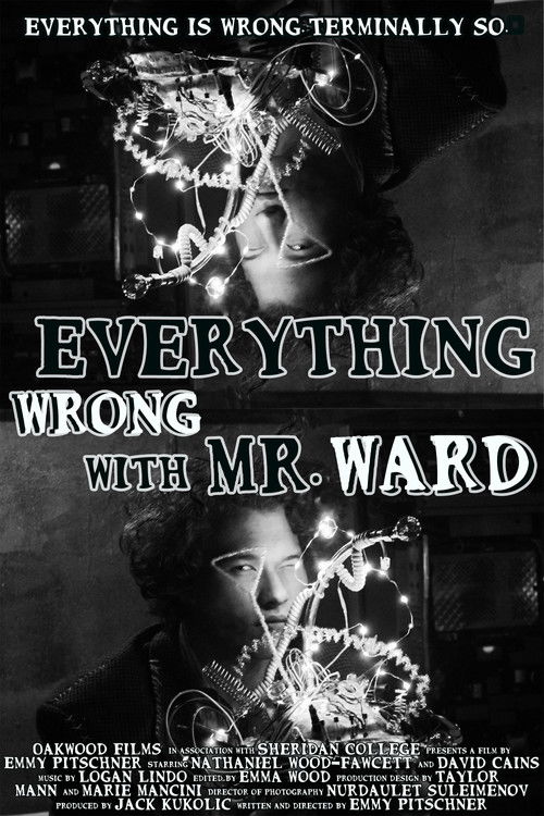Everything Wrong with Mr. Ward (2024) poster