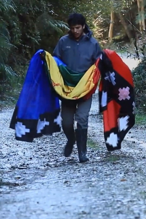 Ilwen. La tierra tiene olor a padre (2013) poster