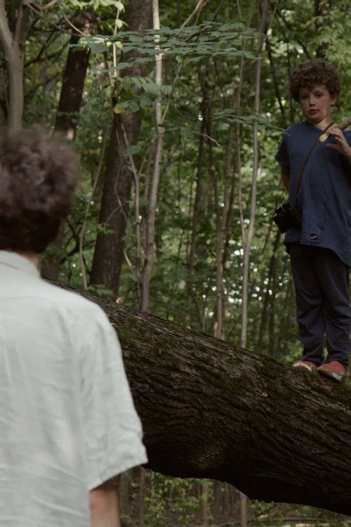 Memories from Earth (2019) poster