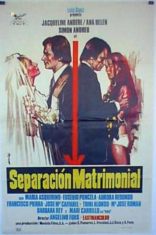 Separación matrimonial (1973) poster
