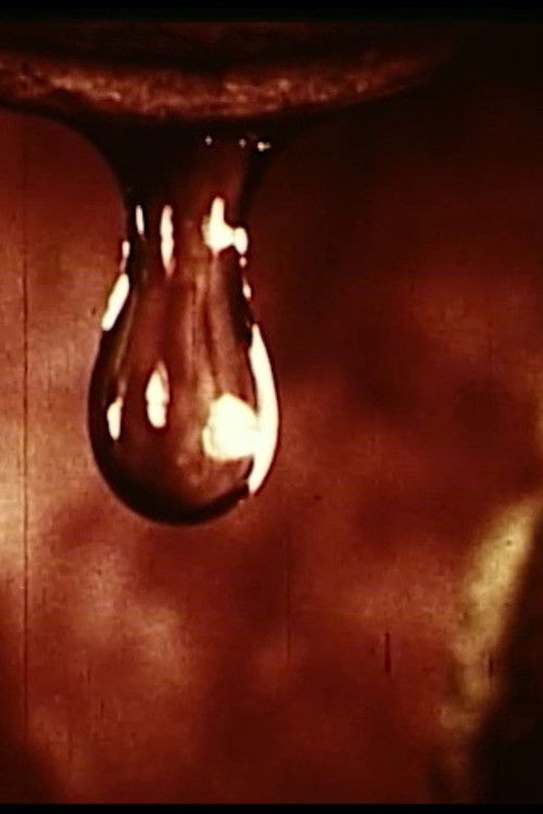 Worth How Many Words (1968) poster