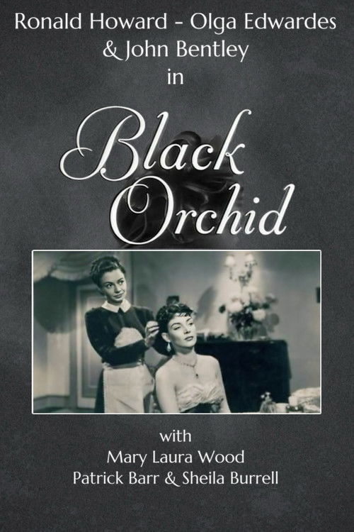 Black Orchid (1953) poster