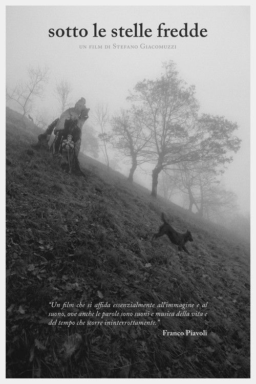 Under the Cold Stars (2020) poster