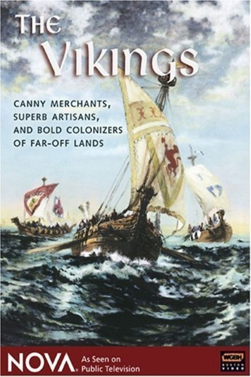 The Viking Saga -  The Era of The Long Ships (1999) poster