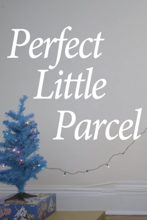Perfect Little Parcel (2018) poster