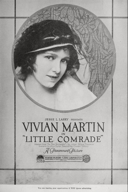 Little Comrade (1919) poster
