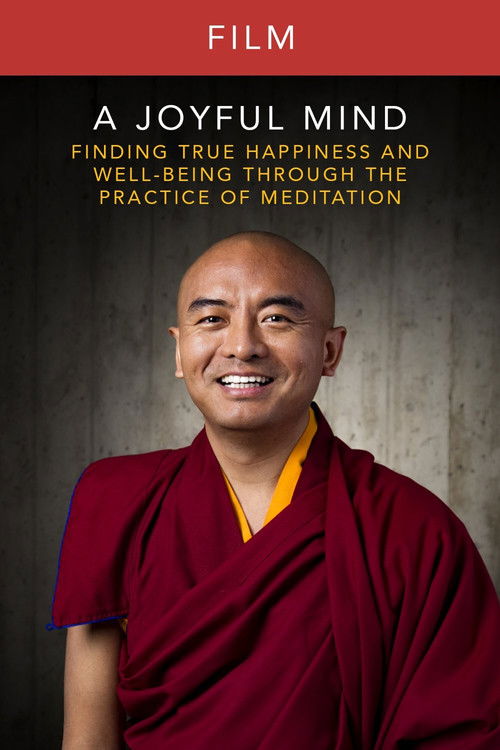 A Joyful Mind - Finding true happiness through the practice of meditation (2016) poster
