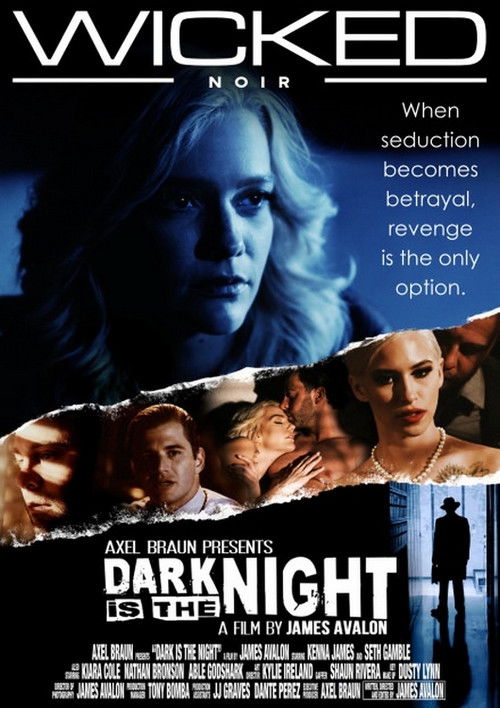 Dark Is the Night (2022) poster