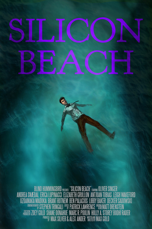 Silicon Beach (2018) poster