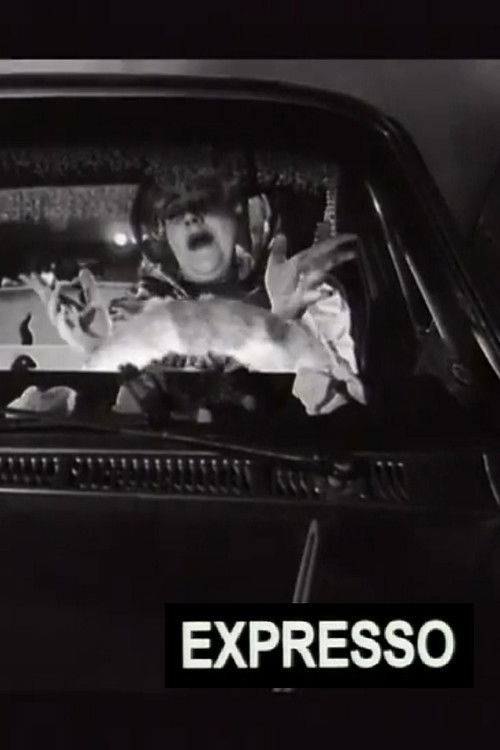 Expresso (1994) poster