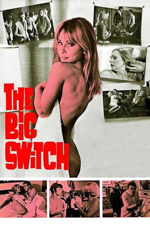 The Big Switch (1968) poster