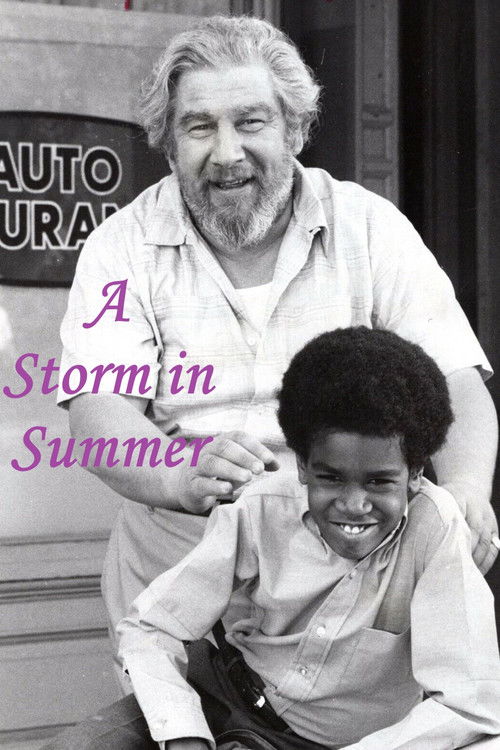 A Storm in Summer (1970) poster