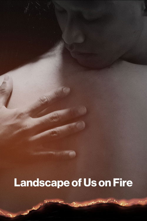 Landscape of Us on fire (2024) poster