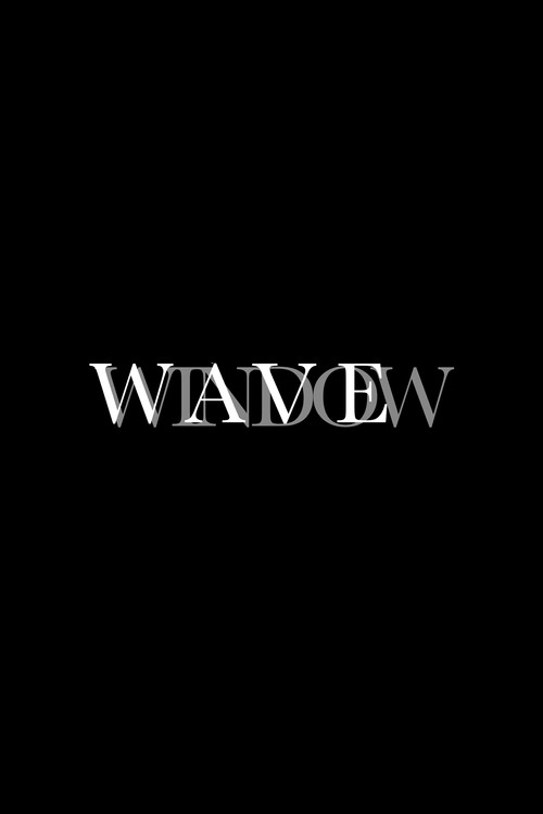 Wave Window (2026) poster