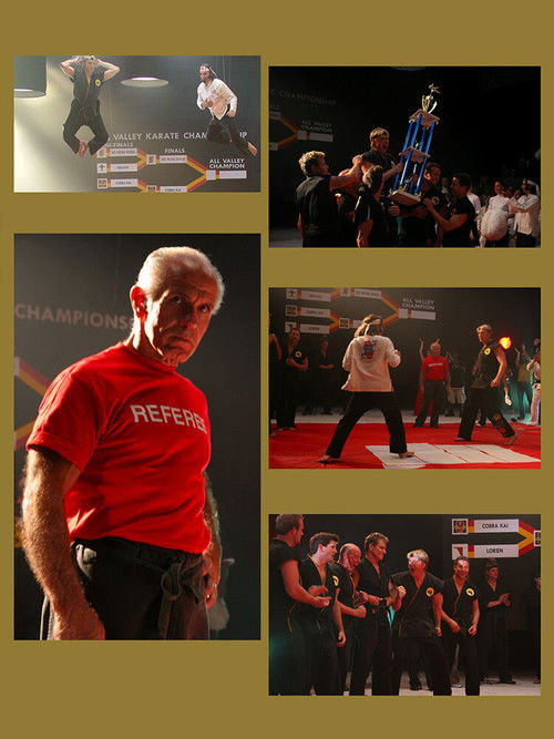 Sweep the Leg (2007) poster