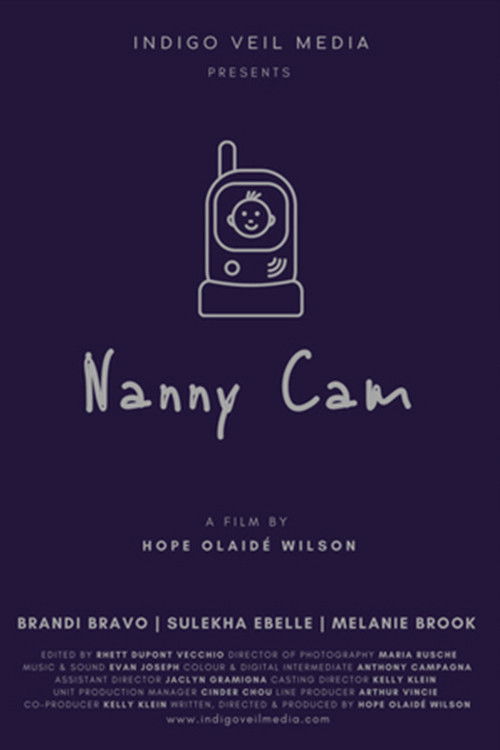 Nanny Cam (2020) poster
