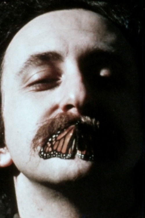 The True Light Beaver Film: After the Revolution (1970) poster