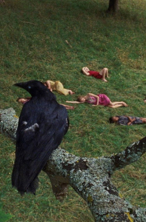 The Bird Game (2019) poster