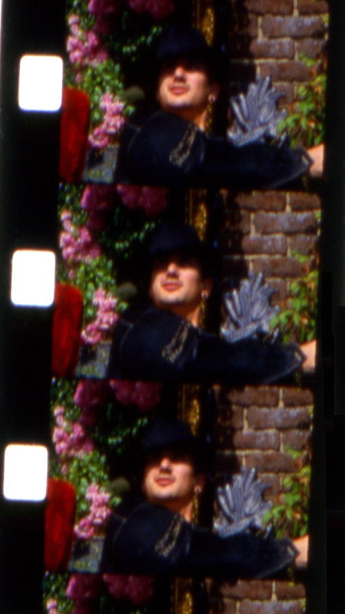 Les jardins de la Barrueca (2010) poster