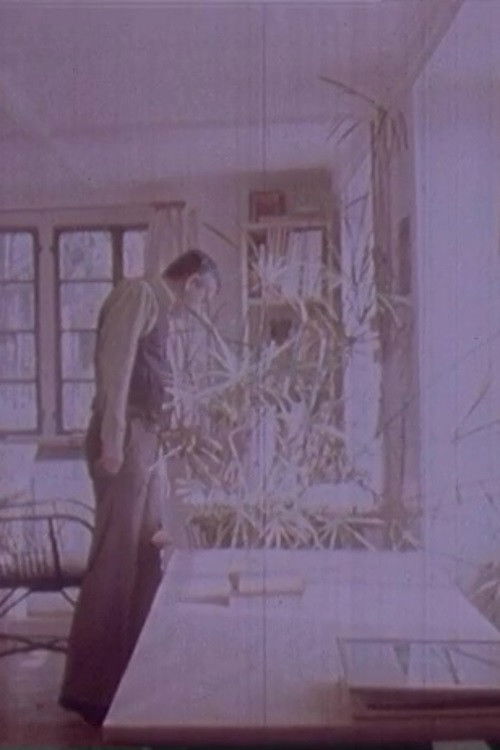 Robert Walser (1978) poster