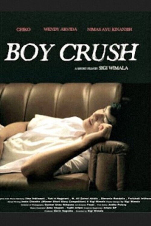 Boy Crush (2009) poster