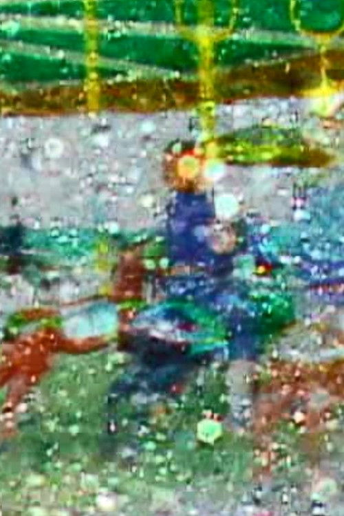 Jour de reve (2005) poster