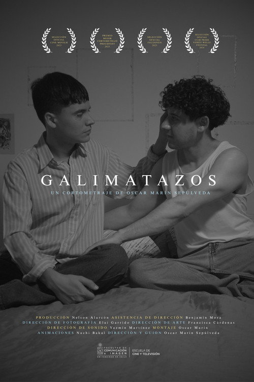 Galimatazos poster
