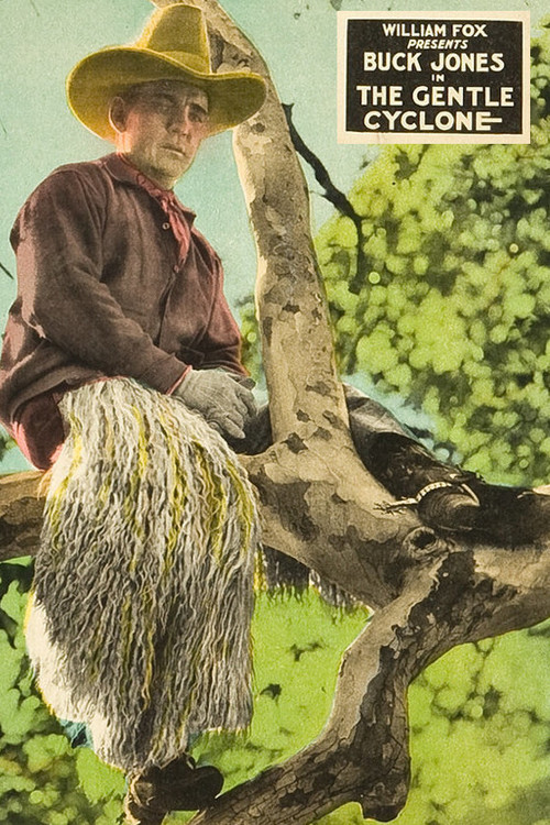 The Gentle Cyclone (1926) poster