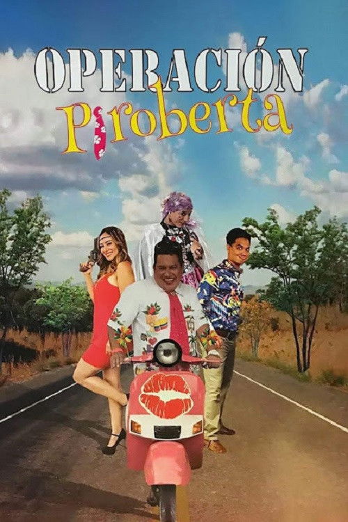 Operation Piroberta (2017) poster