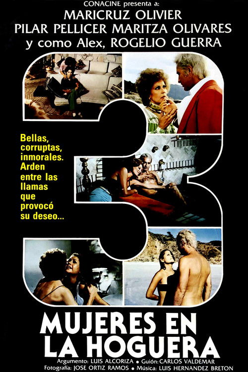 Three Women in a Bonfire (1979) poster