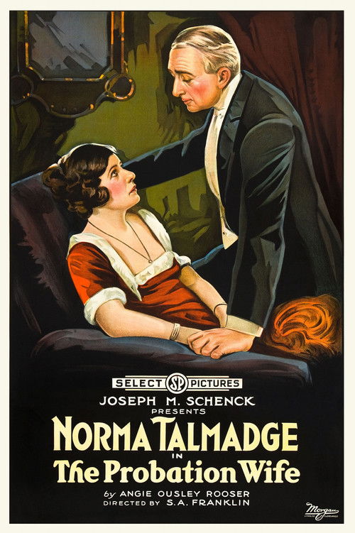 The Probation Wife (1919) poster