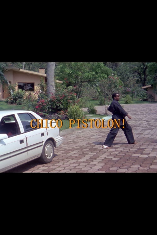 Chico pistolón (1994) poster