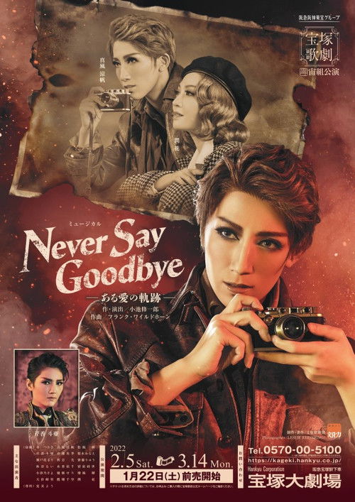 Never Say Goodbye (2022) poster