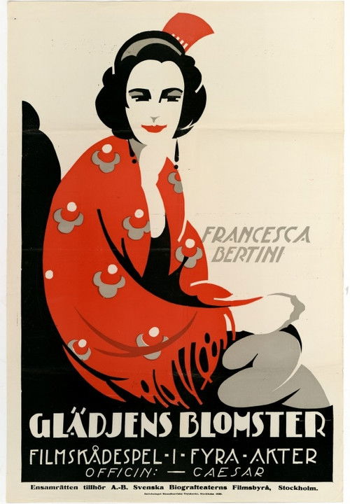 The Cheerful Soul (1919) poster