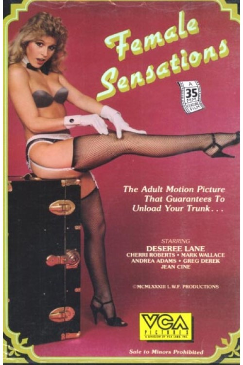 Female Sensations (1983) poster