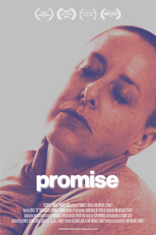 Promise (2023) poster
