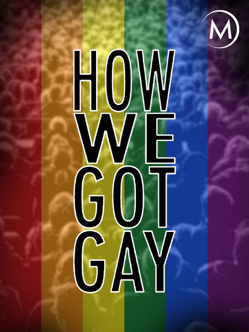 How We Got Gay (2013) poster